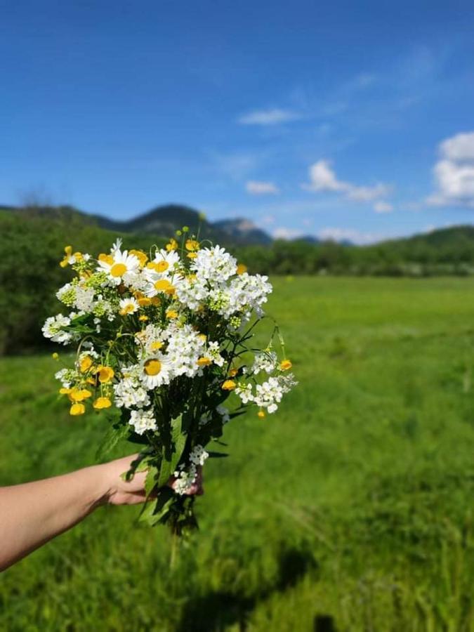 Отель Penzion Roal Pieniny Спишска-Стара-Вес Экстерьер фото