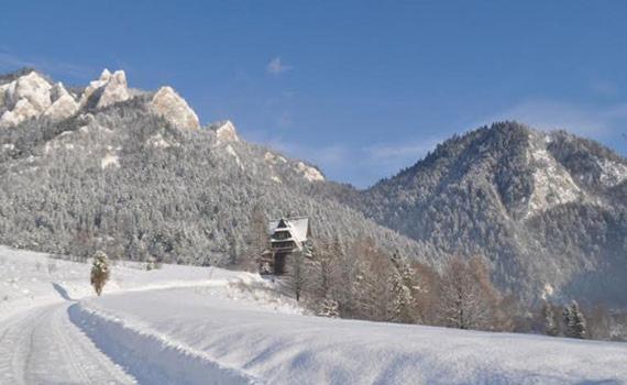 Отель Penzion Roal Pieniny Спишска-Стара-Вес Экстерьер фото